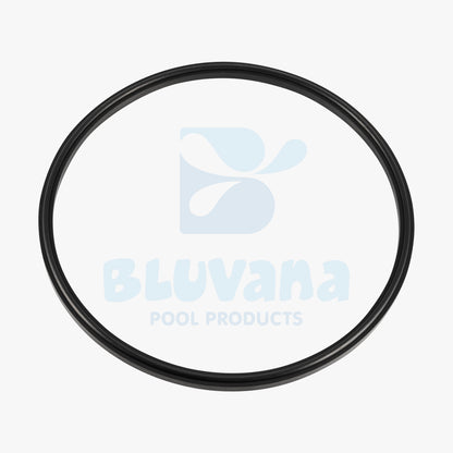 Replacement Lid Seal and O-Ring Compatible with Jandy JEP ePump, Stealth SHPF & SHPM