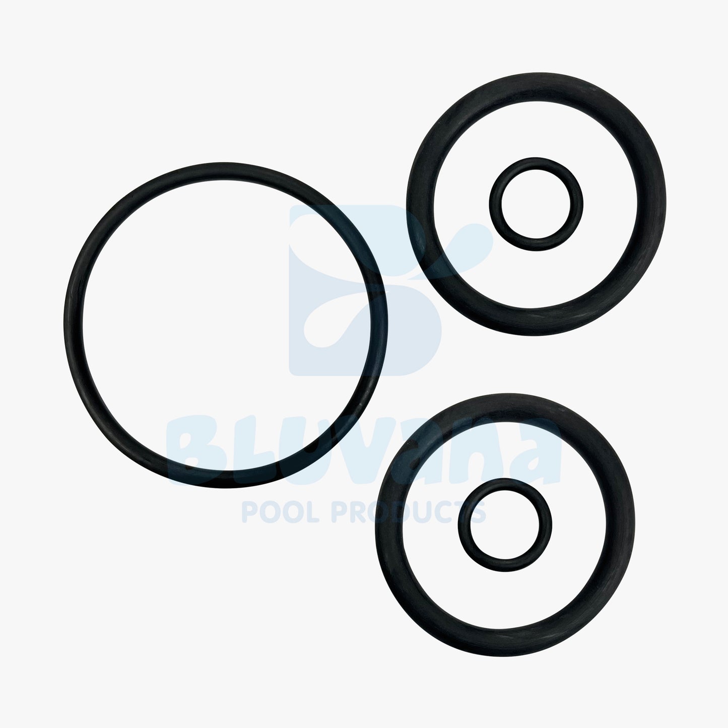 Backwash Slide Valve O-Ring Kit JPG

