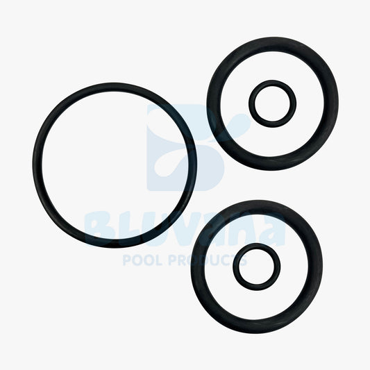 Backwash Slide Valve O-Ring Kit JPG

