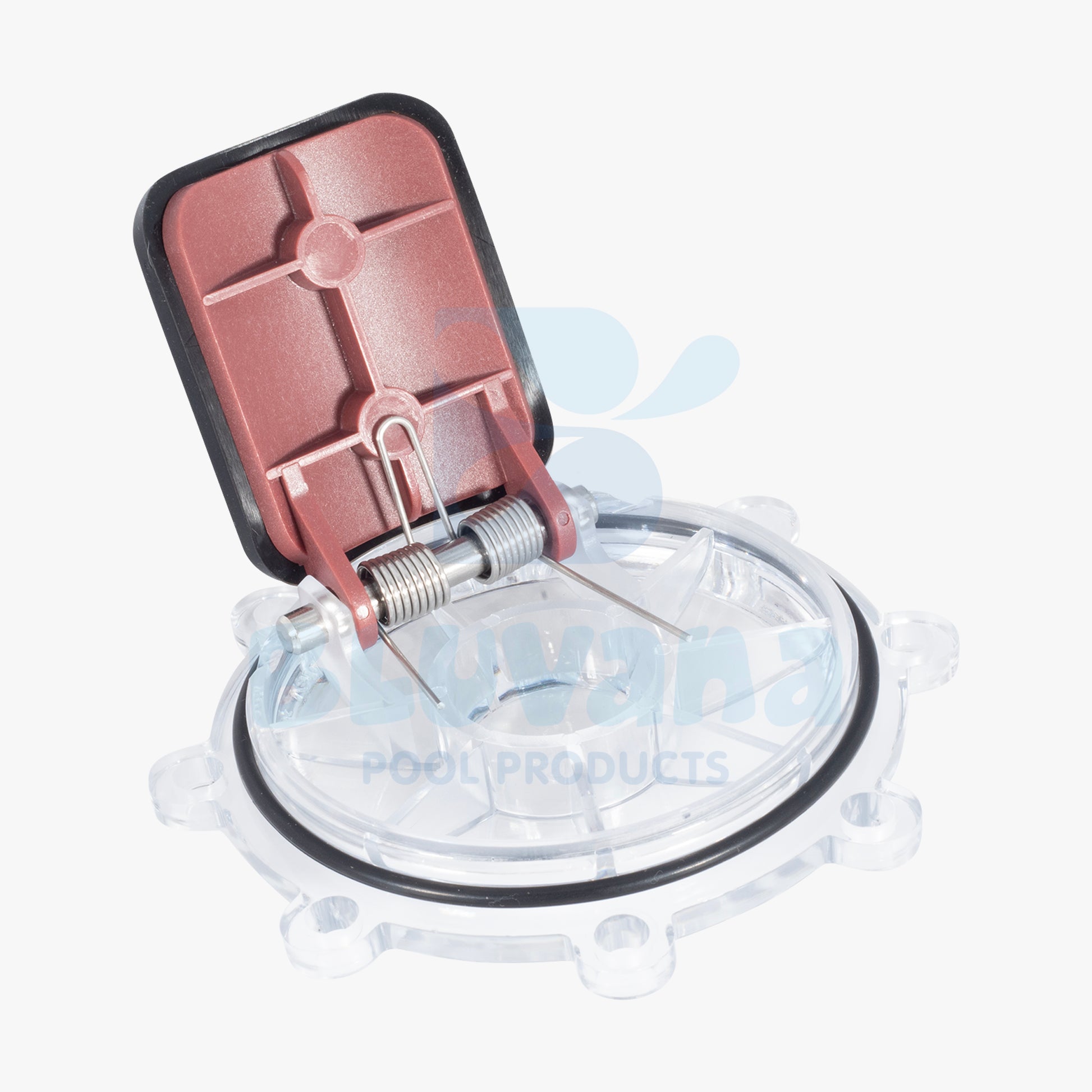 Check Valve Cover & Flapper Assembly JPG