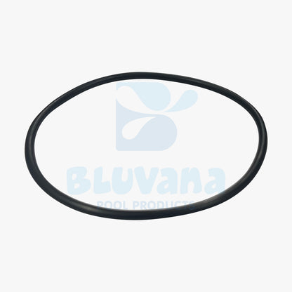 Diffuser O-Ring JPG