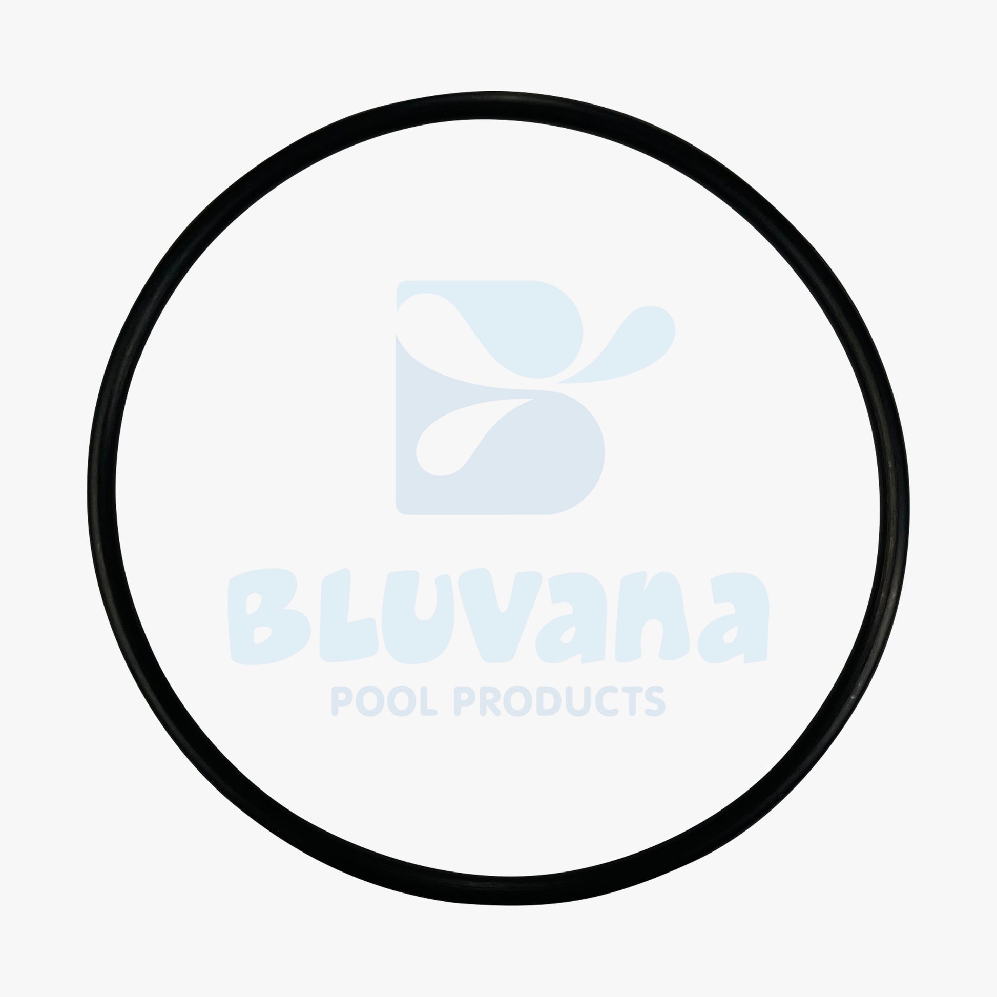 Replacement Lid O-Ring JPG