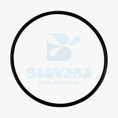 Replacement Lid O-Ring JPG