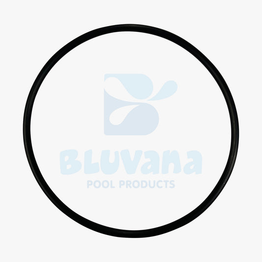 Replacement Lid O-Ring JPG