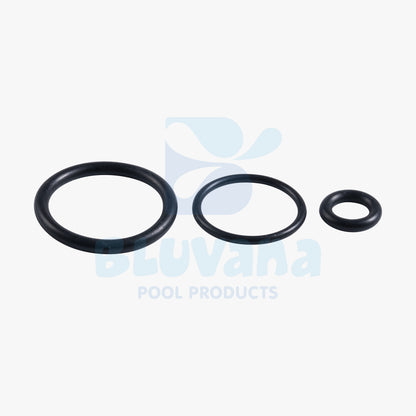 O-Ring Assembly JPG