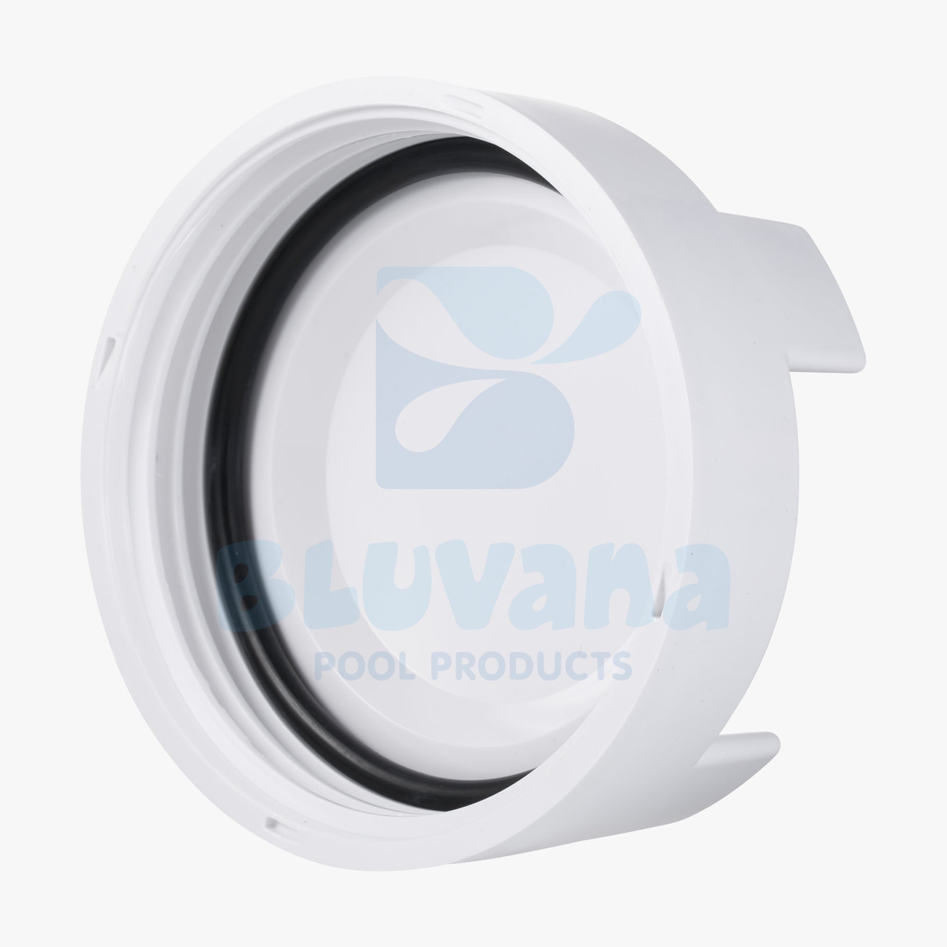 Pool Chlorinator JPG