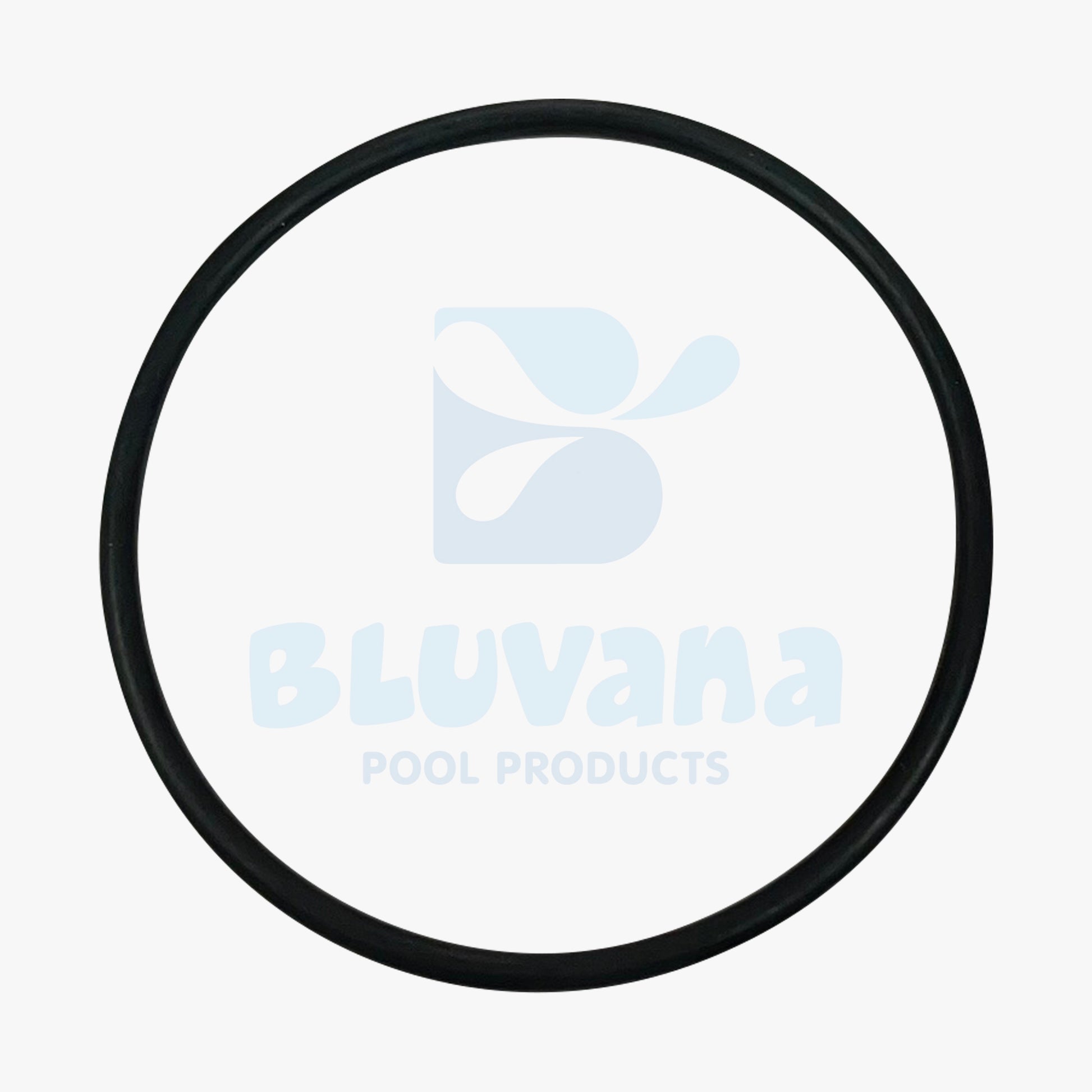 Pool Filter O-Ring Replacement JPG