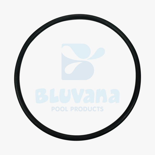 Pool Filter O-Ring Replacement JPG