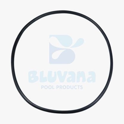 Pool Filter Tank O-Ring Replacement JP