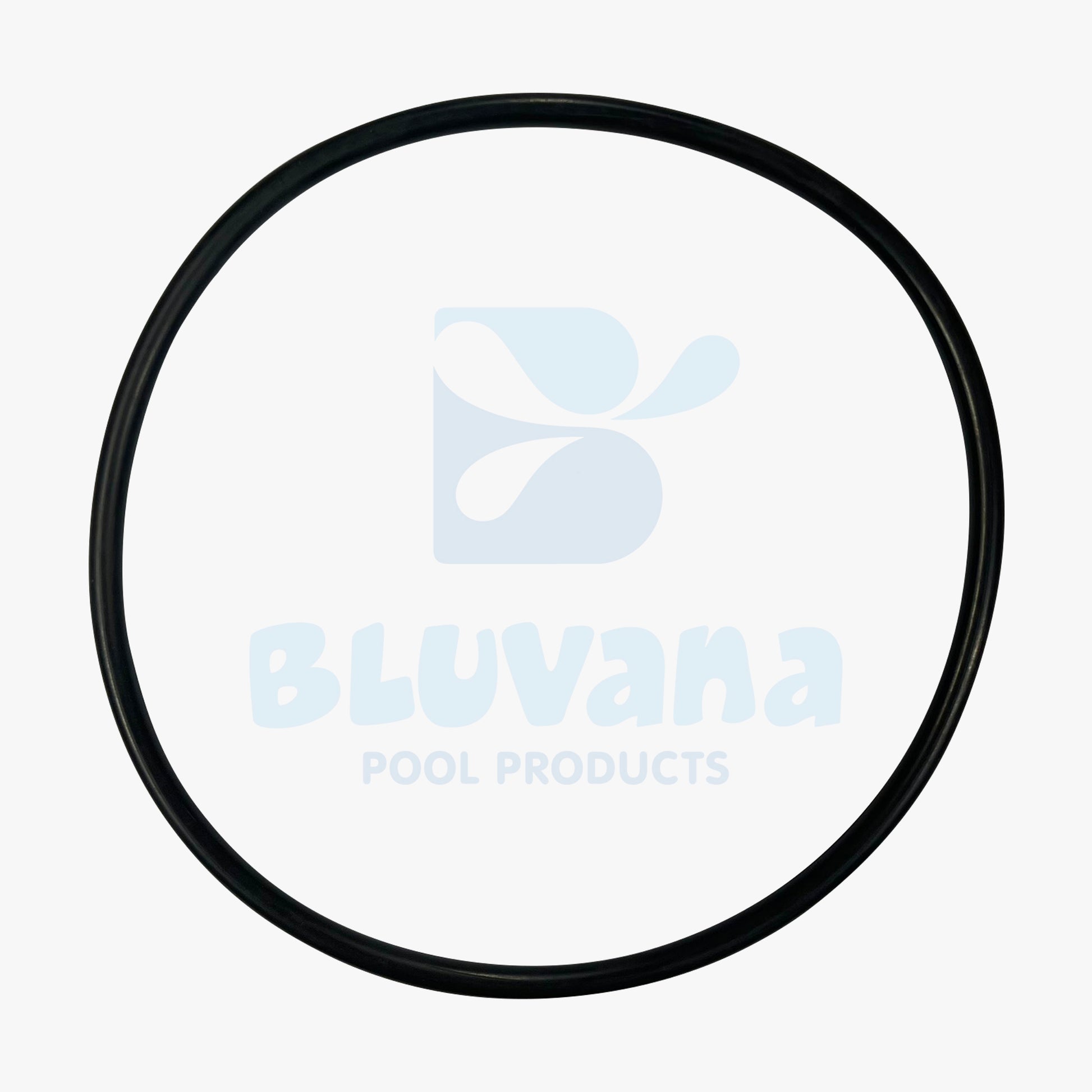 Pool Pump Lid O-Ring JPG
