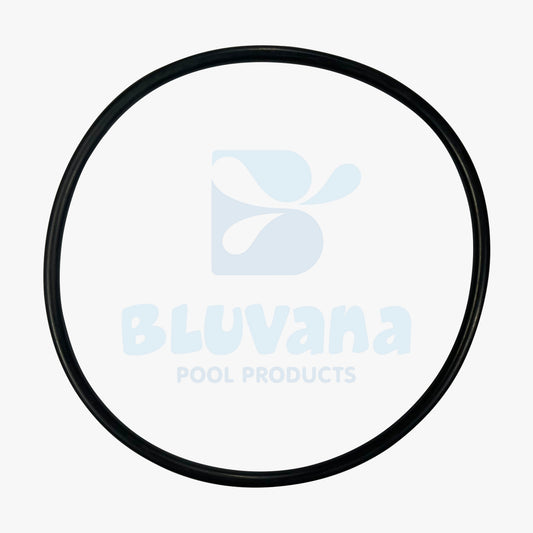 Pool Pump Lid O-Ring JPG