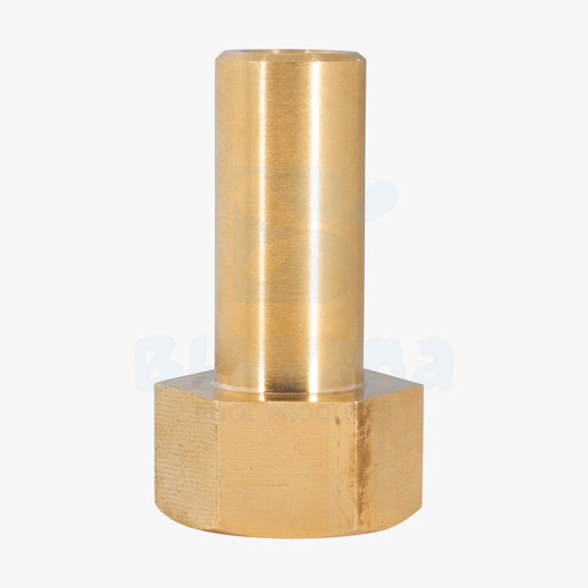 Replacement - Brass - Nut - JPG


