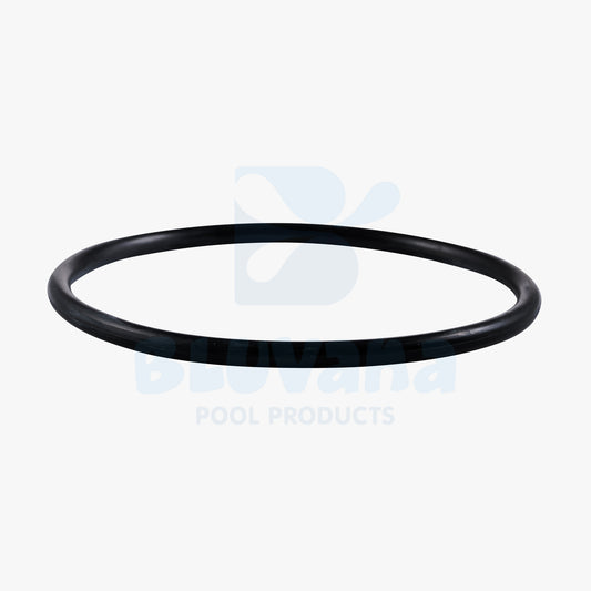 Replacement Chlorinator Lid O-Ring JPG