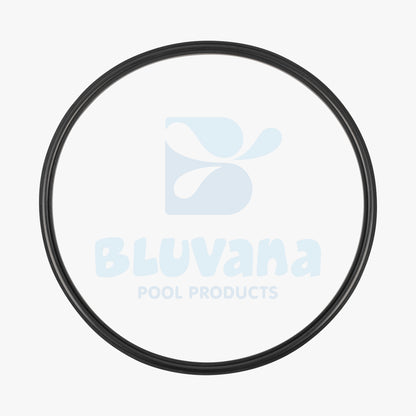 Replacement Lid O-ring JPG