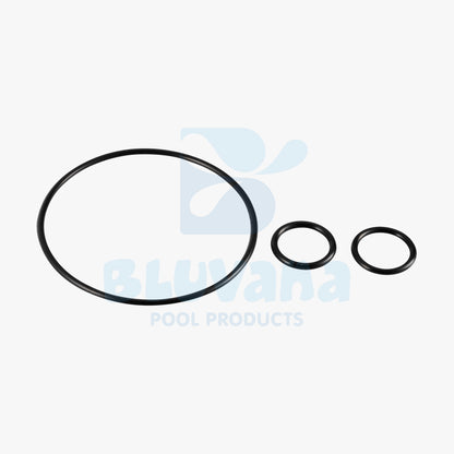 Replacement Valve O-Ring Kit JPG
