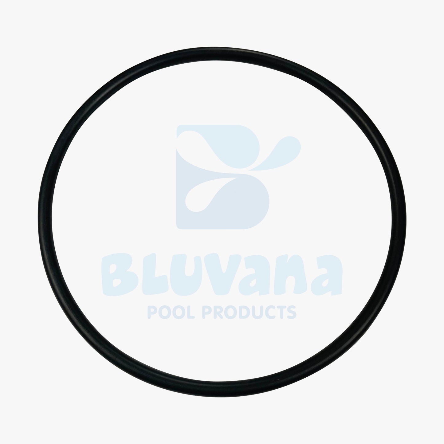 Trap Cover Lid O-Ring JPG