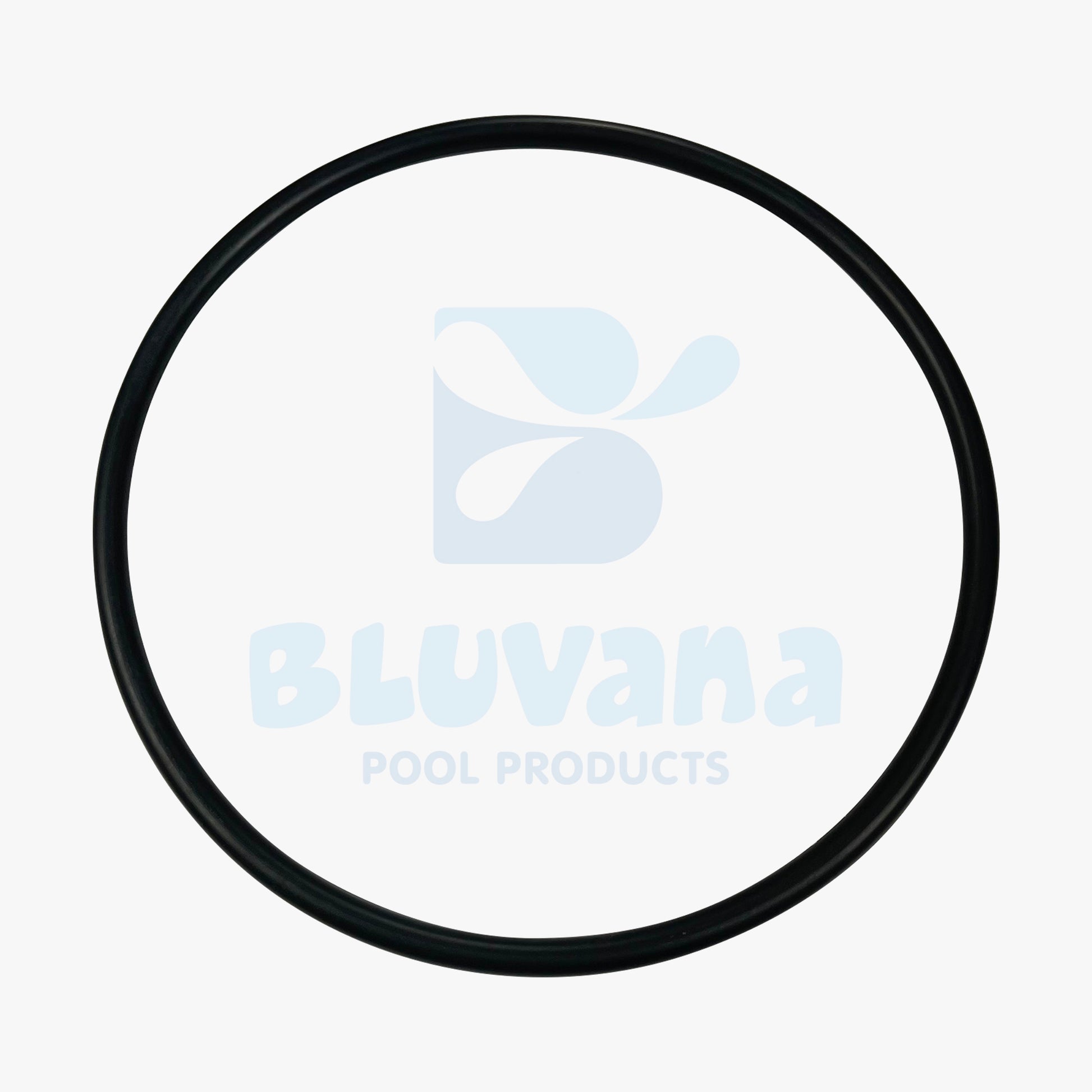 Trap Cover Lid O-Ring JPG